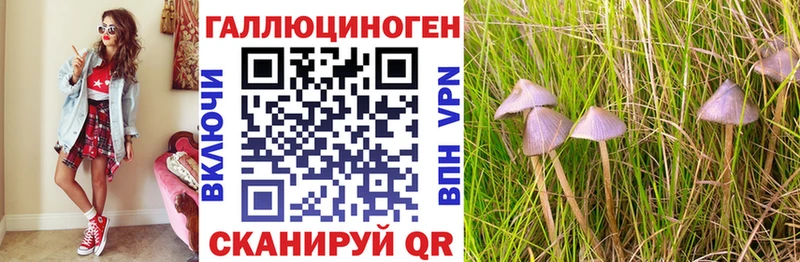 продажа наркотиков Мамоново Псилоцибиновые грибы GOLDEN TEACHER